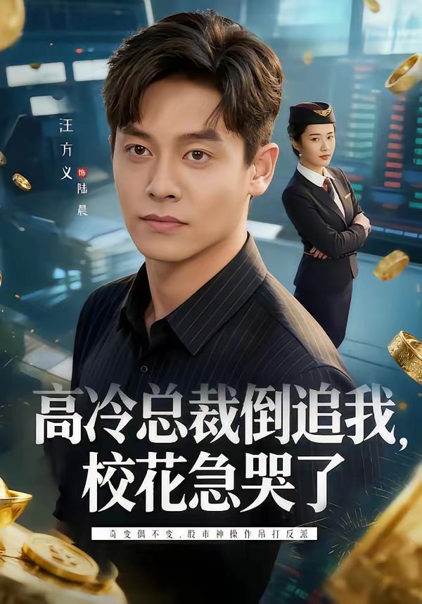 高冷总裁倒追我，校花急哭了海报