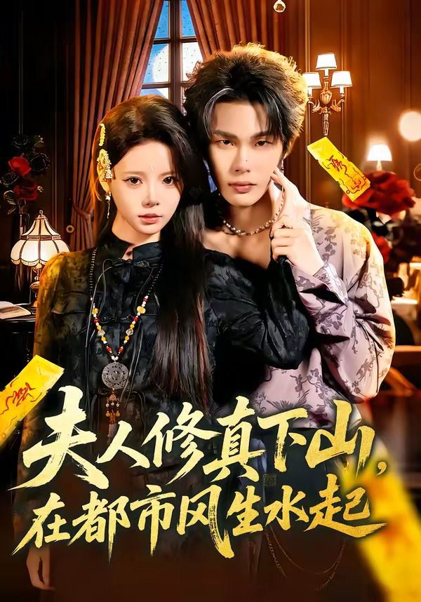 夫人修真下山，在都市风生水海报