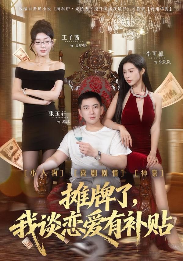 摊牌了，我谈恋爱有补贴海报