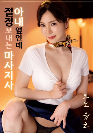 妻子身边的禁忌按摩师海报