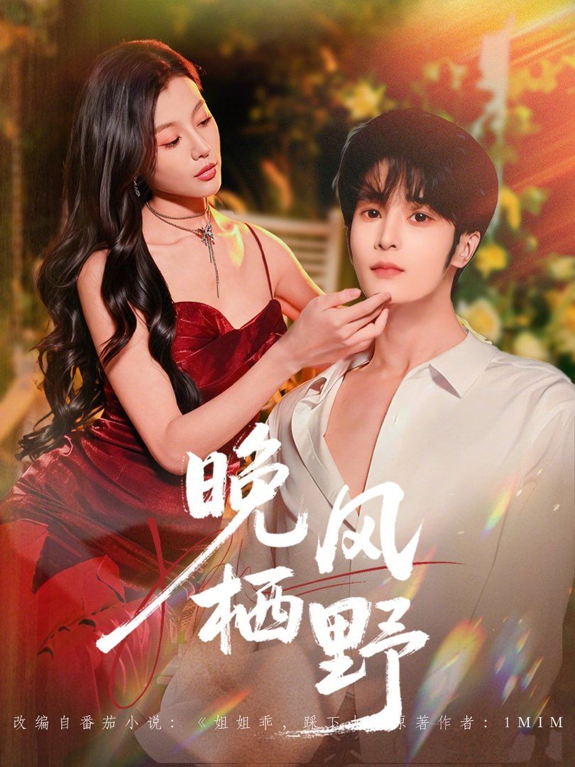 晚风栖野海报