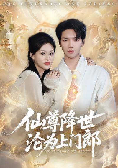 仙尊降世沦为上门郎海报