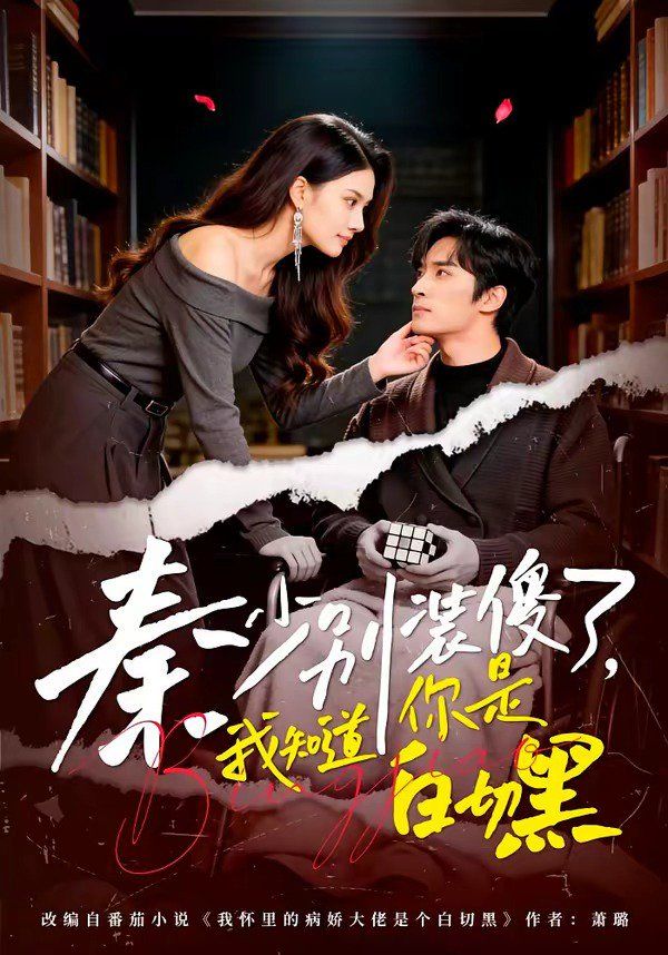 秦少别装傻了，我知道你是白切黑海报