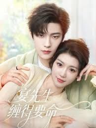 宴先生缠得要命海报