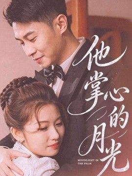 他掌心的月光海报