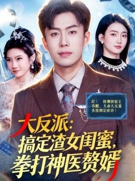 大反派:搞定渣女闺蜜,拳打神医赘婿海报