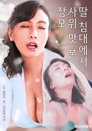丈母娘与女婿海报