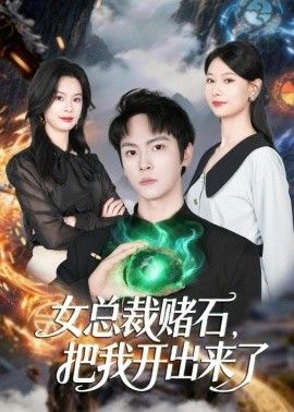 女总裁赌石,把我开出来了海报