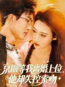 京圈等我离婚上位,他却失控索吻海报