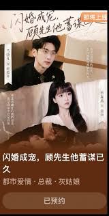 闪婚成宠,顾先生他蓄谋已久海报