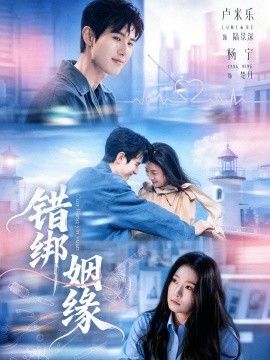 错绑姻缘海报