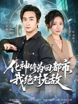 化神修为回都市,我绝对无敌海报