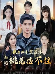 操盘神手想退休，命犯桃花挡不住海报