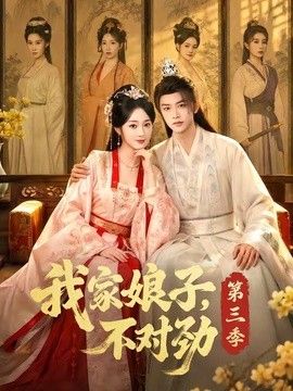 我家娘子,不对劲第三季海报