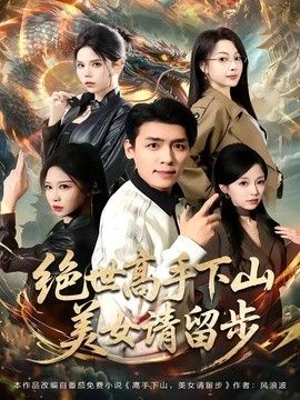 绝世高手下山,美女请留步海报