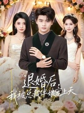 退婚后,我被总裁伴娘宠上天海报