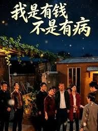 我是有钱，不是有病海报