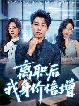 离职后我身价倍增海报