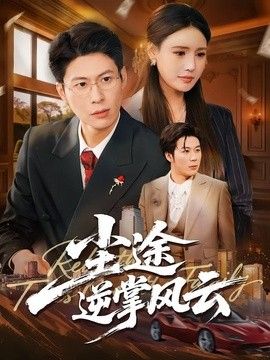 尘途逆掌风云海报