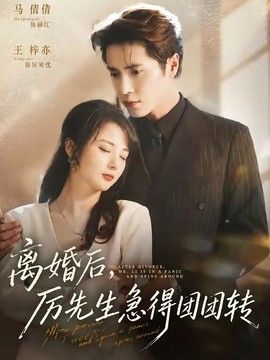 离婚后,厉先生急得团团转海报