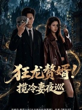 狂龙赘婿！揽冷妻夜巡海报