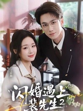 闪婚遇上裴先生2第二季海报