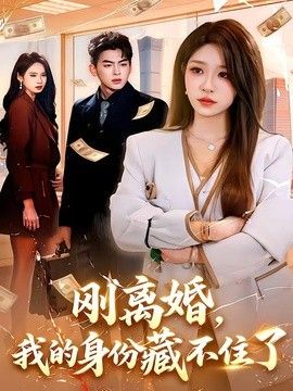 刚离婚,我的身份藏不住了海报