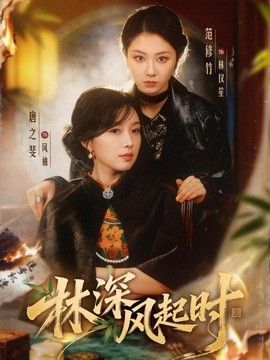 林深风起时海报