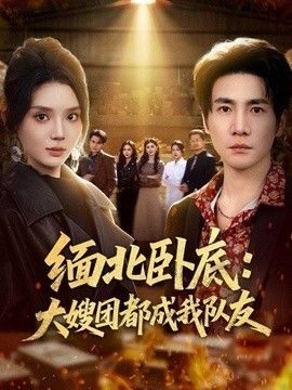 缅北卧底:大嫂团都成我队友海报
