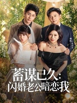 蓄谋已久:闪婚老公暗恋我(我带崽闪婚后怎么老妈也)海报