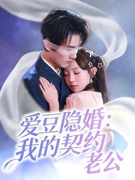 爱豆隐婚:我的契约老公海报