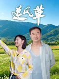 逆风草海报