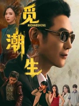 觅潮生海报