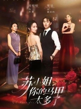 苏小姐,你的马甲太多了海报