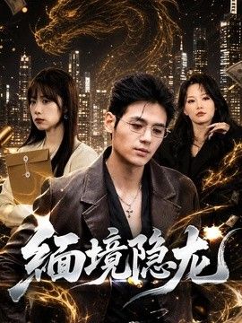 缅境隐龙海报