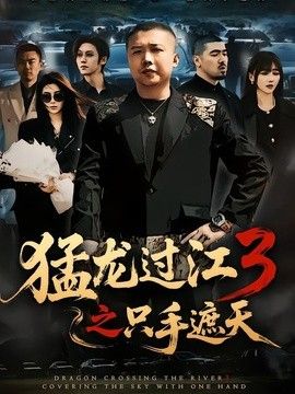 猛龙过江3之只手遮天海报