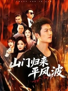 山门归来平风波海报