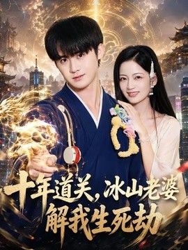 十年道关,冰山老婆解我生死劫海报