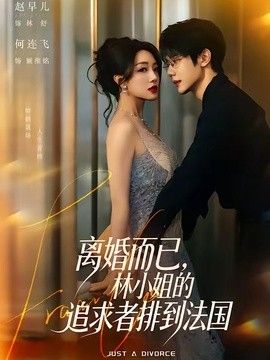 离婚而已,林小姐的追求者排到法国海报