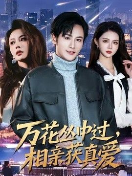 万花丛中过,相亲获真爱海报