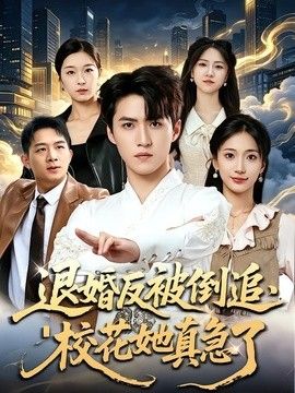 退婚反被倒追,校花她真急了海报
