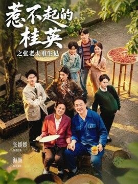 惹不起的桂英之张老太重生记海报