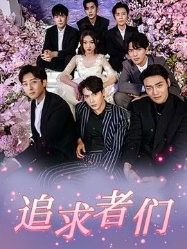 追求者们海报