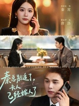 秦总别追了,夫人已经嫁人了海报