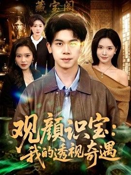 观颜识宝:我的透视奇遇海报