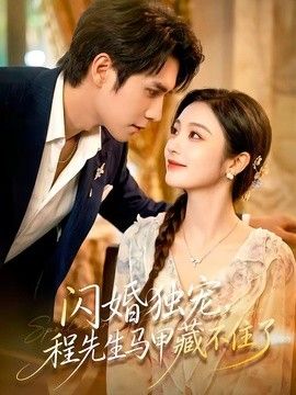 闪婚独宠,程先生马甲藏不住了海报