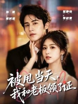 被甩当天,我和老板领了证海报
