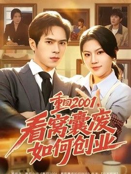 重回2001，看窝囊废如何创业海报