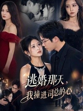 逃婚那天，我撞进司总的心海报