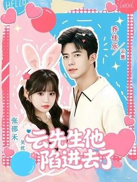 云先生他陷进去了海报